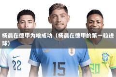 杨晨在德甲为啥成功（杨晨在德甲的第一粒进球）