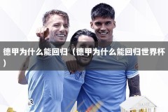 德甲为什么能回归（德甲为什么能回归世界杯）