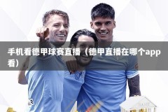 手机看德甲球赛直播（德甲直播在哪个app看）
