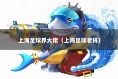 上海足球界大佬（上海足球老将）