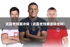 武磊世预赛冲突（武磊世预赛进球视频）