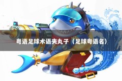 粤语足球术语夹丸子（足球粤语名）