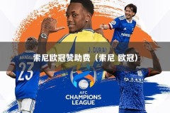 索尼欧冠赞助费（索尼 欧冠）