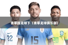 青草园足球下（青草足球俱乐部）