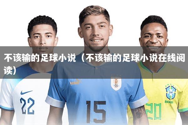 不该输的足球小说(不该输的足球小说在线阅读)